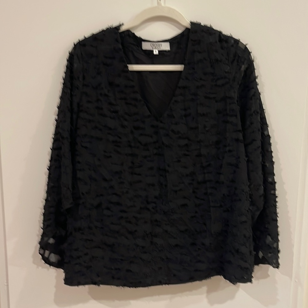 Crosby by Mollie Burch Textured V Neck Blouse